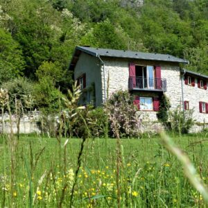 les herbes folles