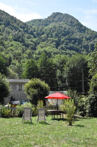 Bains de soleil dans un jardin verdoyant un écrin de verdure